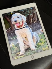 Apple iPad 5th Gen. 32GB