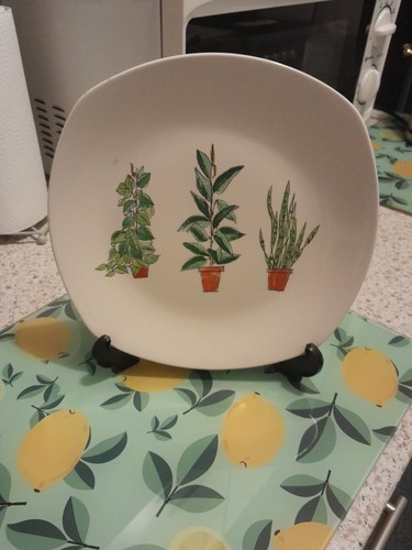 Midwinter potteries plant - midwinter, "plant