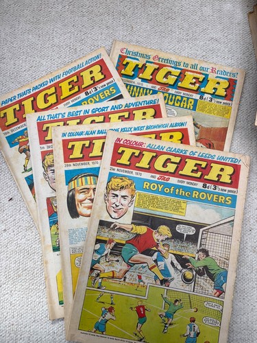 Tiger hurricane jag - tiger, /