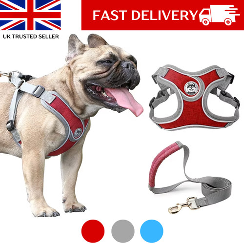Adjustable pull dog harness - pull,