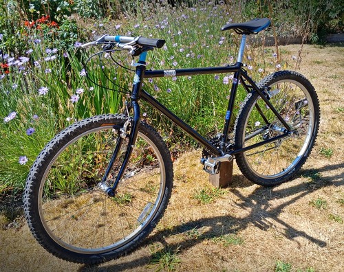Rare marin bobcat trail - rare,