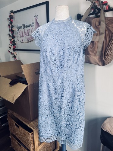 Curve light blue lace dress - ,