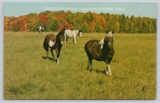 Grundy Center Iowa Postcard -