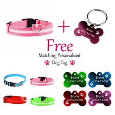 USB Rechargeable LED Dog Pet