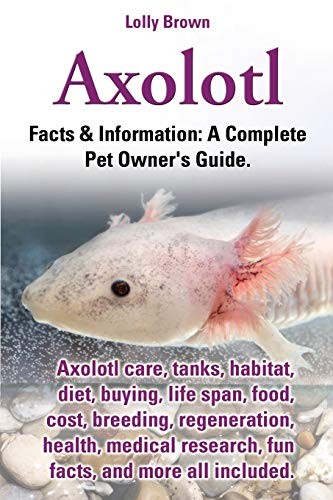 Axolotl care - care,, tanks