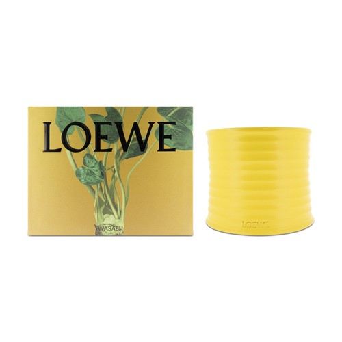 Loewe wasabi scented candle - loewe,
