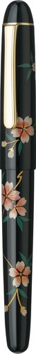 Platinum fountain pen 3776 - fountain, #3776