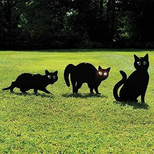Garden black cat deterrent - garden,