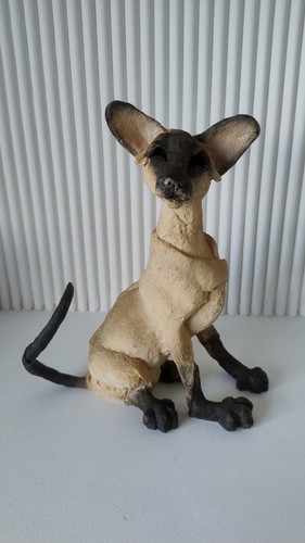 Country artists siamese cat - cat, a