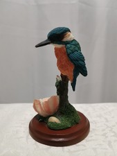 Kingfisher perched on a tree stump