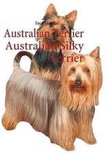 Australian Terrier Australian
