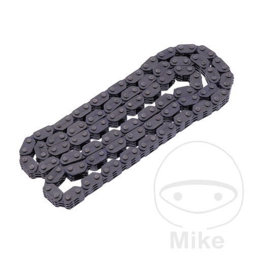 Borgwarner endless cam chain - cam,