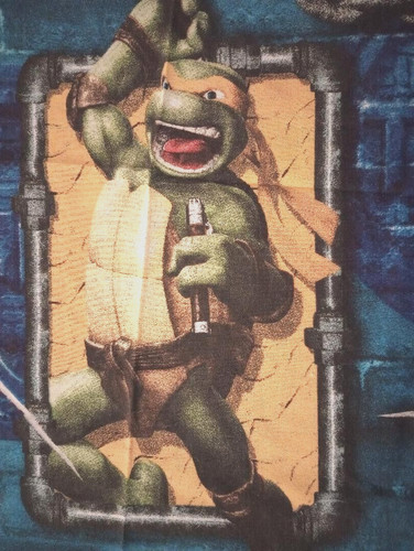 Teenage mutant ninja - teenage,