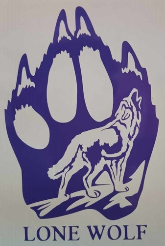 Vinyl decal sticker - vinyl,