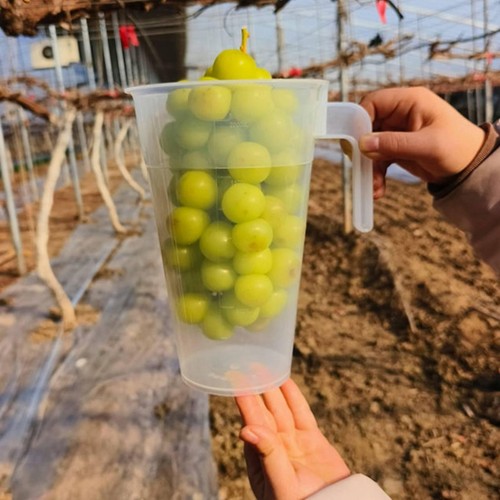 Grape dipping cup fruit - grape,