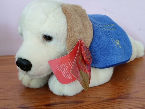 Guide dog puppy - dog, training