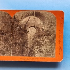 Stereoview Card 3D Real Photo