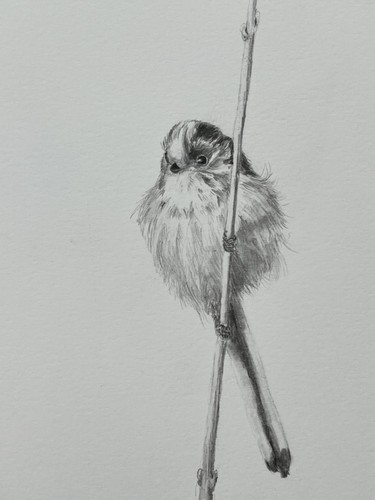 Original signed graphite - original,
