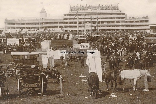 Rp16406 epsom racecourse - epsom,