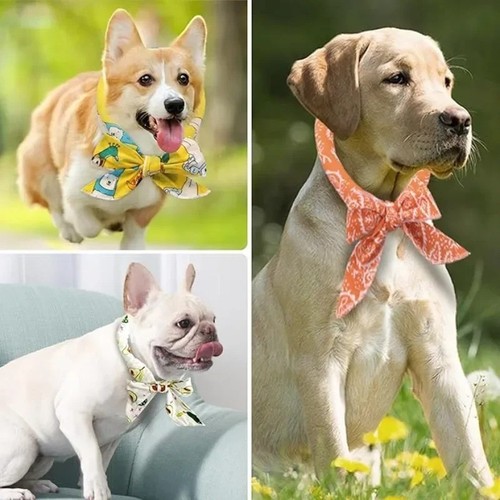 Dog cooling bandana - dog,