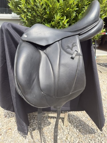 Voltaire adelaide dressage - voltaire,