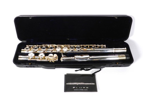 Jazz acoustic silver plated - acoustic,