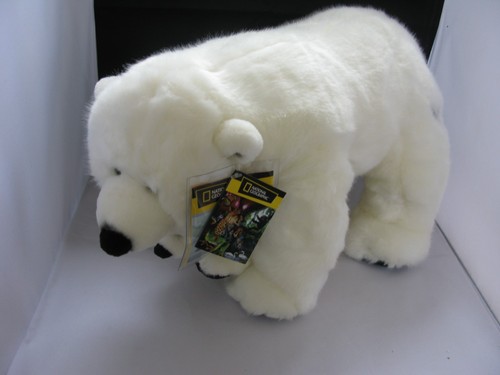 National geographic polar bear - geographic,