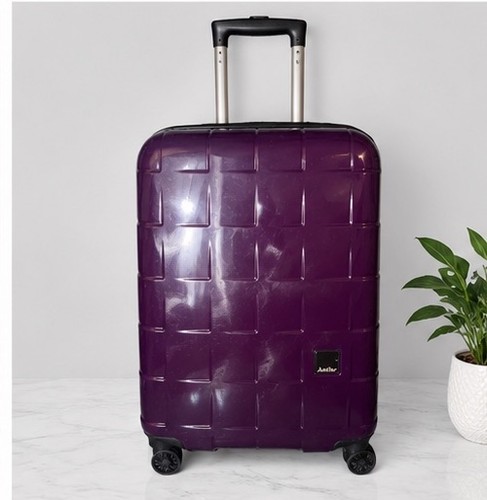 Antler purple hard shell - antler,