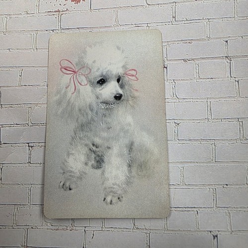 Vintage white poodle pink - white, w/pink