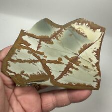 Owyhee Picture Jasper Semi Polished Slice For Lapidary Or Display 74 Grams