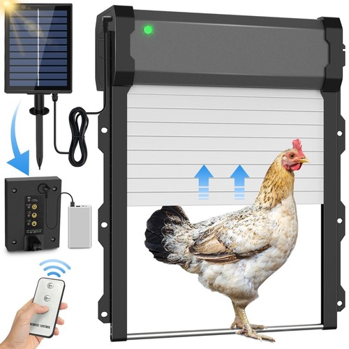 Solar powered chicken coop - chicken,