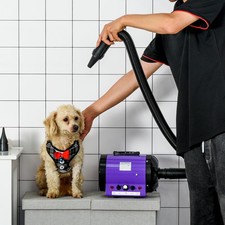 2800W Dog Hair Dryer Pet