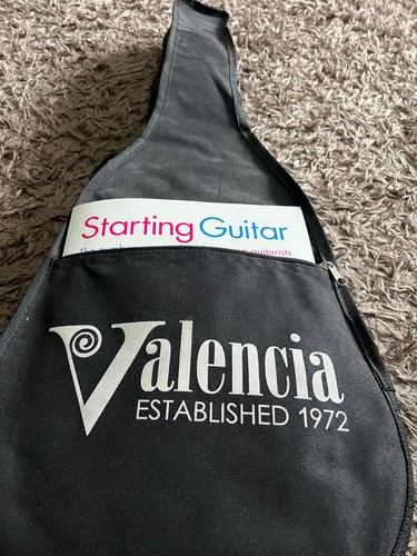 Valencia series 202 guitar - series,