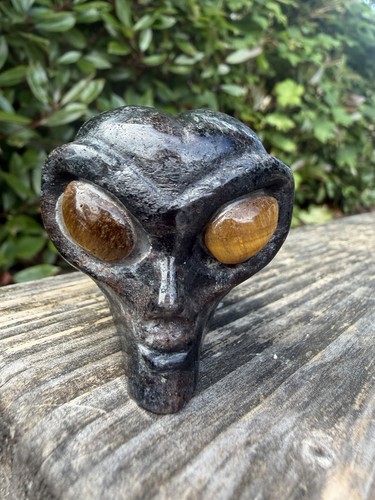 Garnet alien head with tigers - alien,