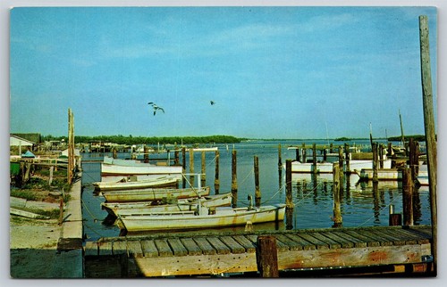 Florida cortez commercial - florida,