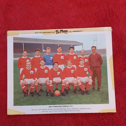 Typhoo tea famous football - tea,