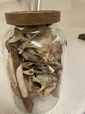 Huge Bundle Of Mixed Bones