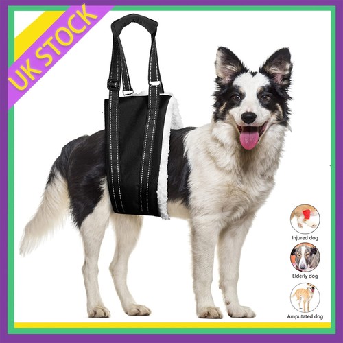 Pet dog mobility aids support - pet,