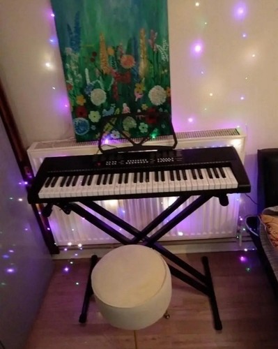 Electronic keyboard key - electronic,