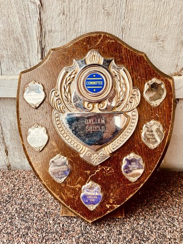 Big trophy shield 10 - big,
