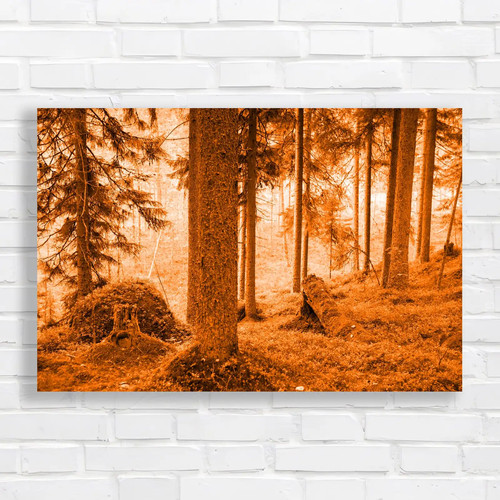 Mystical fairytale forest - fairytale,