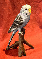 Vivid Arts Hotant ex Display