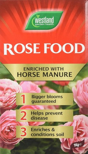 Horse manure and plant - horse,