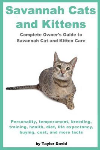 Savannah cats and kittens - savannah,