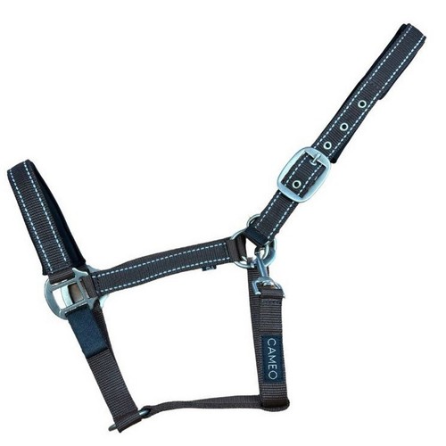Cameo fieldsafe headcollar - cameo,