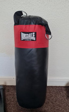 Boxing MMA Punch Bag 12kg