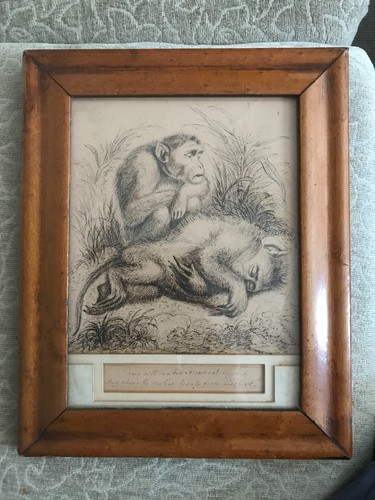 Beautiful 19thc pen and ink - pen,