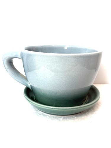 Teacup saucer planter plant - saucer,