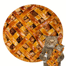 Warm Pizza Food Blanket Super