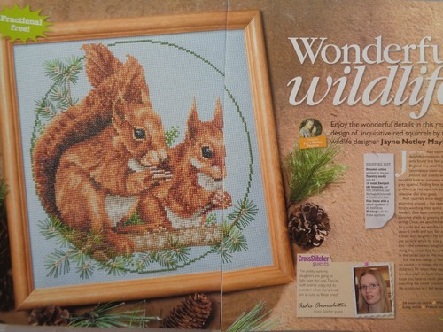 Beautiful red squirrels